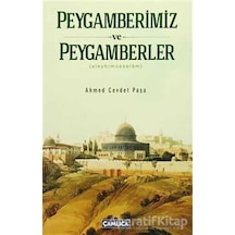 Peygamberlerimiz ve Peygamberler - Ahmet Cevdet Paşa - Çamlıca Basım Yayın