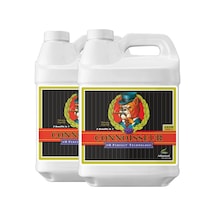 Advanced Nutrients Connoisseur Grow A+B 500 ml