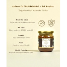 Erbal Ham Bal Arı Sütü Propolis Polen Mix 225 G