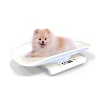 Ankatek Terazi Tartısı Kuşlar Köpek, Kedi, İçin Hayvan Hassas Evcil Dijital Beyaz Beyaz 10kg - Dn Beyaz Beyaz