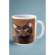 Suphalak Kedi İsimli Kişiye Özel Baskılı Kupa Bardak Model 9 Çok Renkli