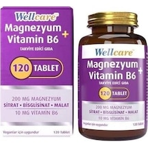 Wellcare Magnezyum + Vitamin B6 120 Tablet