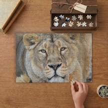Dişi Aslan Tasarımı 240 Parça Ahşap Puzzle Ahşap Kutuda Mpy20478