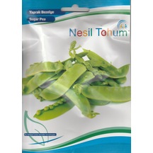 Nesil Bezelye Tohumu Yaprak 10 GR