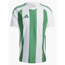 Adidas Striped 24 Jsy Erkek Forma Yeşil