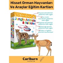 Özel Üretim Görsel Algı Eğlenceli Öğrenme Hisset Orman Hayvanları Ve Araçlar Eğitim Kartları