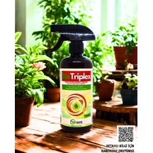500 ML