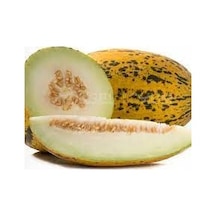 75 Adet Tohum Organik Bahçe Kırkağaç Sarı Bal Kavun Tohumu Organi