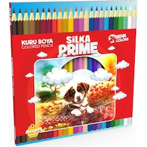 Silka Hex Prime 24'lü Kuru Boya Kalem Seti / Art.1048 Diğer