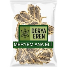 Derya Eren Meryem Ana Eli Otu Fatma Ana Eli Anastatika Hierochuntica 500 G