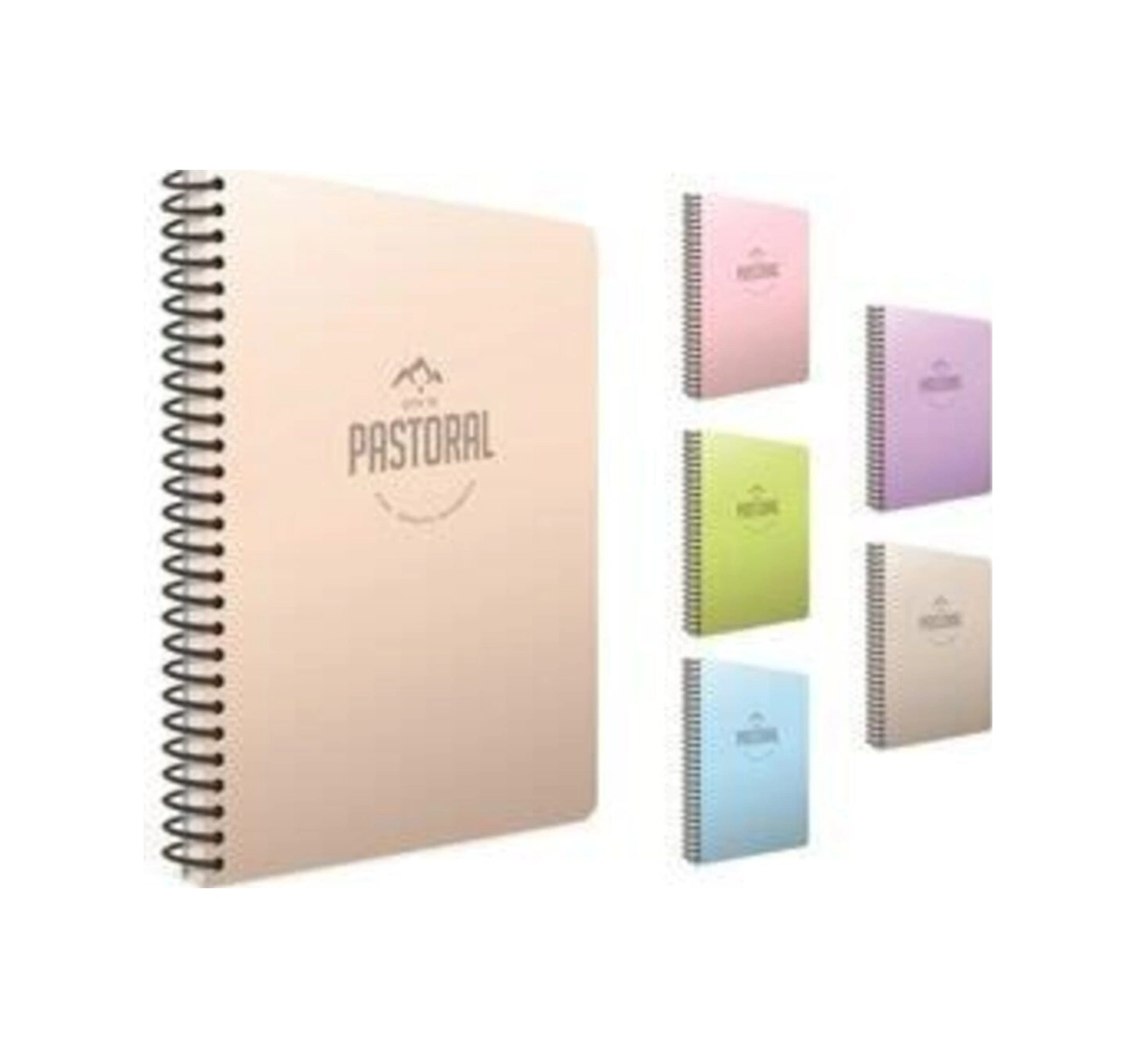 Pastoral Spiralli Pp Kapak Defter 17x24cm 60 Yaprak Kareli 4 Lü Paket