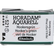 Schmincke : Horadam Aquarell Artist Sulu Boya : Tam Tablet : Seri 1 521 Hooker's Green