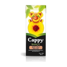 Şeftali Meyve Suyu 200 Ml.