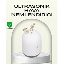 Abs+pp Malzemeli Taşınabilir 220 Ml Usb Mist Nemlendirici
