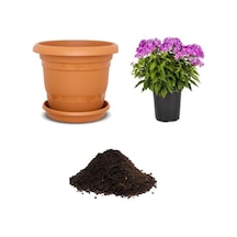 Karışık Flox Çiçeği Tohumu Ekim Seti