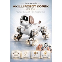 2.4 Ghz Uzaktan Kumandalı Sarjlı Dans Eden 8 Tekerli Akıllı Robotik Köpek Sesli Işıklı 23 Cm Kahverengi