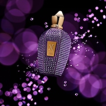 Xerjoff V Purple Accent 100 Diğer