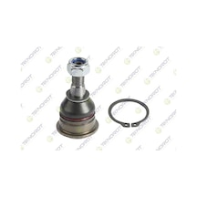 Rotil Ön Alt Nıssan Almera N16 00 06 Prımera P12 02 08