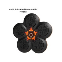 Lvsqvr Müzik Box Makinesi