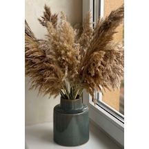 Dekoratif 7'li Natural Pampas 100 Cm Doğal