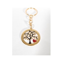 Çok Renkli