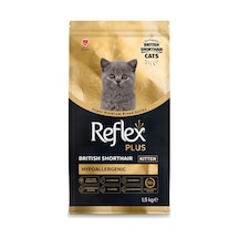 Plus British Shorthair Yavru Kedi Maması 1.5 Kg