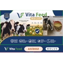 Vitafeed Asidoz Buffer Bolus 100 Gr 12 Adet