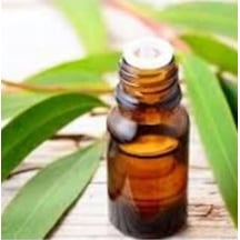 Okaliptus Yağı 20 ML