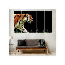Kaplan, Tiger - 5 Parçalı Tablo Görsel - 702503441 Görsel
