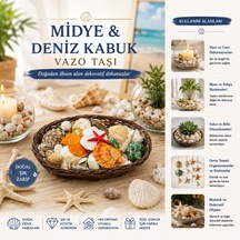 Oval Ahşap Sepet Deniz Kabuklu Vazo Taşı - Renkli Mix Belirtilmemiş