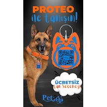 Petjoo 24.Proteo Mavi-Turuncu Qr'lı Köpek Künyesi