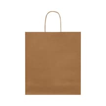 Packanya 25 x 12 x 31 - 200 Adet Burgu Saplı Kraft Çanta