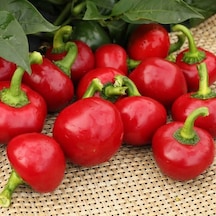 Acı Hot Cherry Tatlı Kiraz Biber Tohumu 50 Tohum