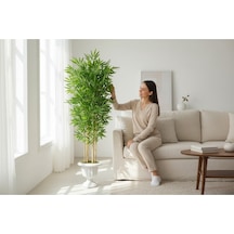 Yapay Bambu Ağaç 190 Cm 6 Dallı Yogun Yaprak Nergiz Saksı Yeşil