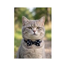 Kedi Papyon Tasma Lacivert