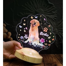 Köpek Fotoğraflı Led Lamba, Kişiye Özel Fotoğraf Ve İsimli Evcil Hayvan Temalı Lamba Hediye Tekli Foto Köpek