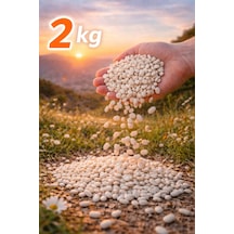 Kuru Fasulye 2 Kg