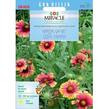 Miracle Karışık Gayret Çiçeği Giallardia Mix Tohumu 190 Tohum