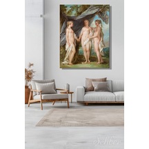 Çok Renkli