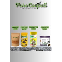 Purecanpati Goldfish Koi+wafers+gammarus Ve Sarımsaklı Yem Seti