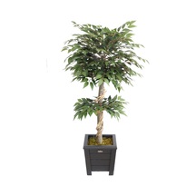 Yapay Lüx Ficus Ginseng Ağacı 100 Cm Mat Yeşil Yeşil