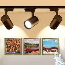 4 Adet Dekoratif Led Ray Spot + 1 Metre Ray Siyah Kasa Günışığı