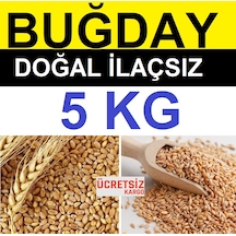 Buğday 5 Kg Yemlik Buğday Tavuk Yemi Güvercin Yemi Kanatlı  Yemi