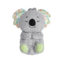 Fisher Price Uyku Arkadaşı Koala 2 Adet Çok Renkli