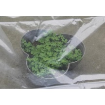 Pazly Toz Tarım Suntek Plastik Kaplama Geçirmez Filmi Film Bez 200cm-200cm Jr