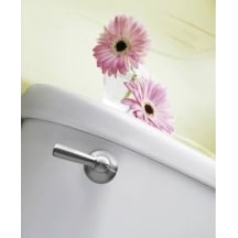 Brushed Nickel - Moen Dn6801bn Sage Inspirations Toilet Tank Lever, Brushed Nickel 000 Açık Krem