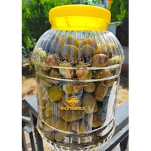 Yeşil Zeytin 3 Kg