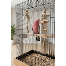 Mivra Pets 2'li Papağan Kemirme Parçalama Jüt Halat Seti