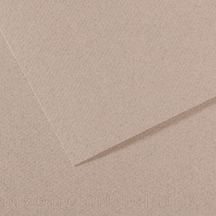 Canson Fon Kartonu Dokulu Mı-teıntes Sh Canmt 50x65 160 Gr Grey 426
