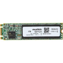 Mushkin Source MKNSSDSR1TB-D8 1 TB M.2 SATA SSD